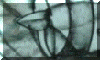 bomb07_s.gif (6760 bytes)