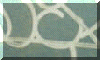 train08_s.gif (5743 bytes)